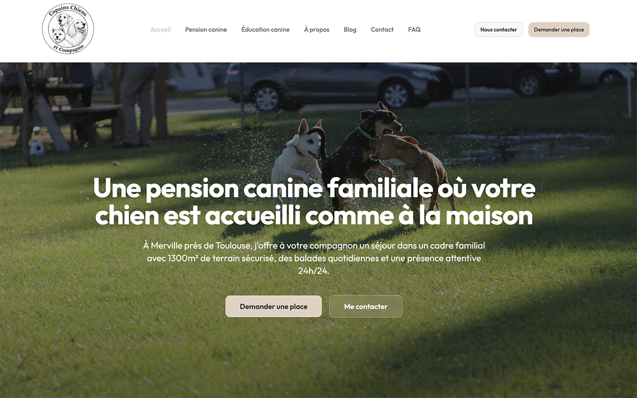 Aperçu du site Copains Chiens