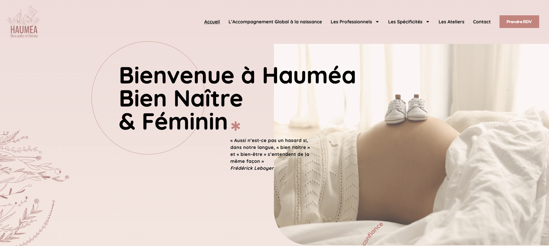 Aperçu du site Haumea Toulouse
